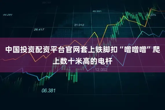 中国投资配资平台官网套上铁脚扣“噌噌噌”爬上数十米高的电杆
