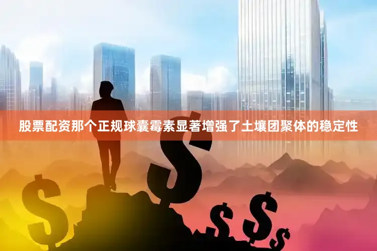 股票配资那个正规球囊霉素显著增强了土壤团聚体的稳定性